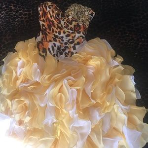 Quinceañera Dress